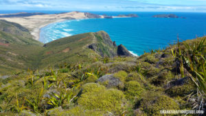 Cape Reinga