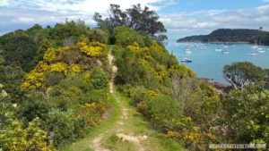 Waiheke Island