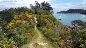 Beautiful surroundings in Waiheke Island, New Zealand. The main method to get there is by ferry.