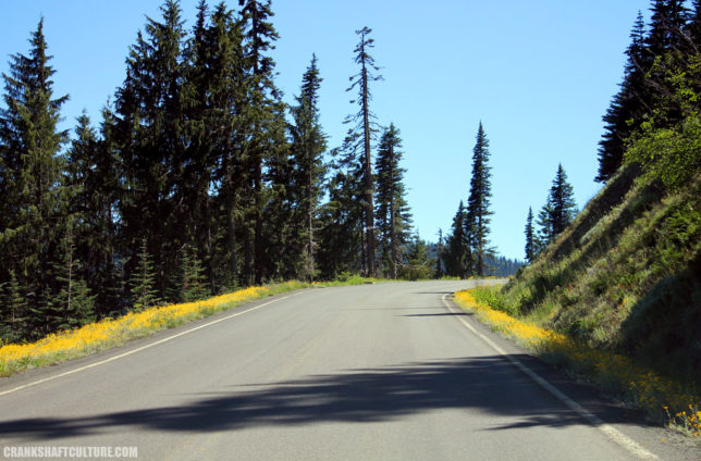 Hurricane Ridge Road