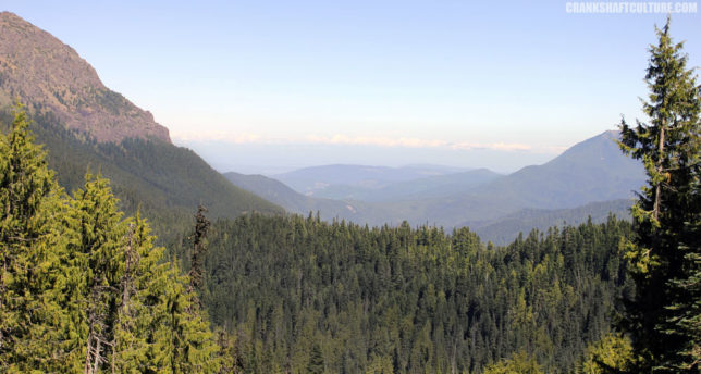 Hurricane Ridge in the Olympic National Forest 