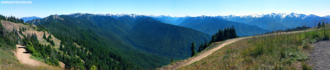 Hurricane Ridge Road vista