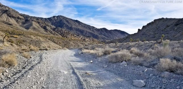 Be aware: Racetrack Valley Road is washboarded and hard on your vehicle as well as yourself.