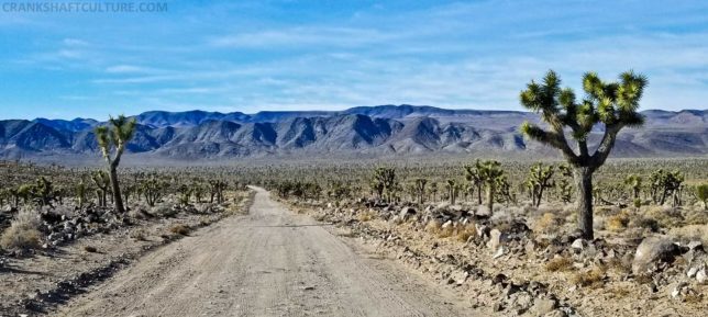 There are several flat and wide sections of Saline Valley Road, but beware of the soft berms!