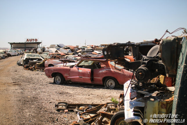Rows of cars at Arizona junkyard