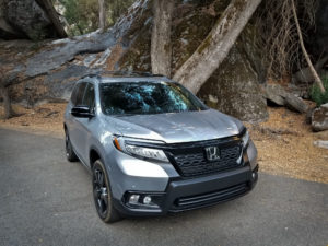 Honda-Passport-Elite-on-side-of-road