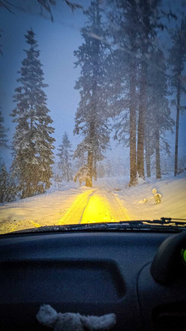 Driving in low light in the snow.