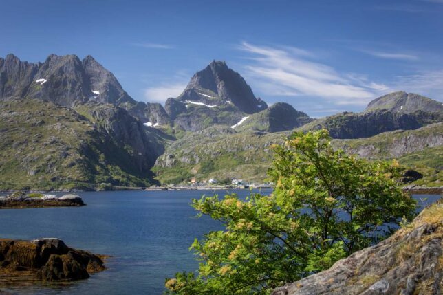 Gorgeous views of jagged hillsides and greenery on Lofoten Island, Norway