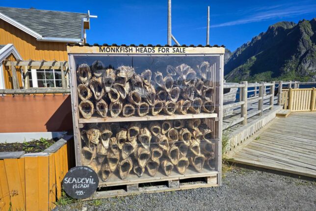 Monk fish heads neatly stacked in a glass and wood case.