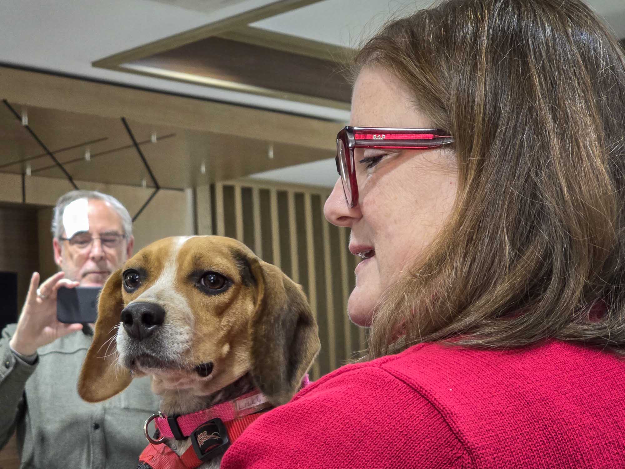 Beagle and Basset Rescue of the Heartland and beagle in her arms